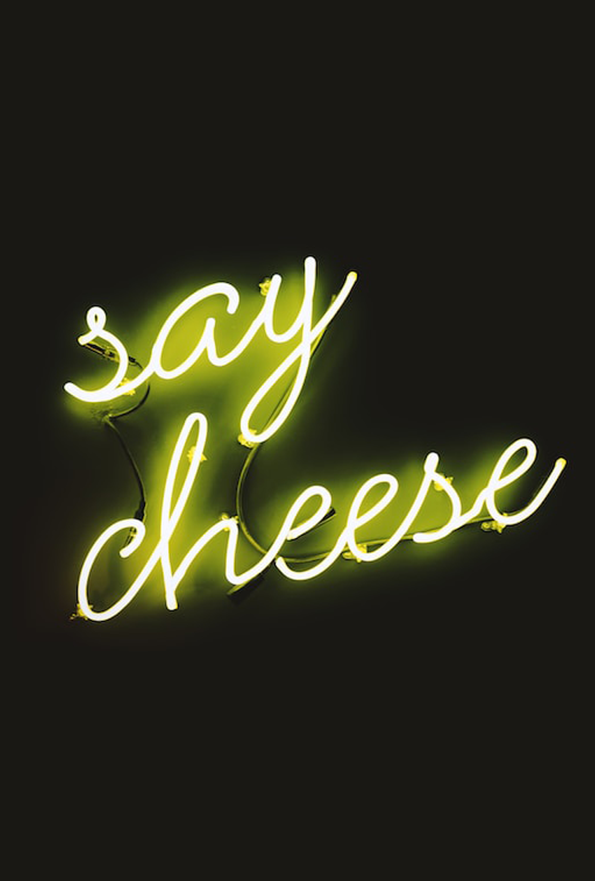 Why Are There Holes In Swiss Cheese?